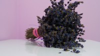 /album/galerie-foto/a13839740-489652151234223-1323104465-o-jpg/